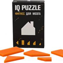 Головоломка IQ Puzzle, домик